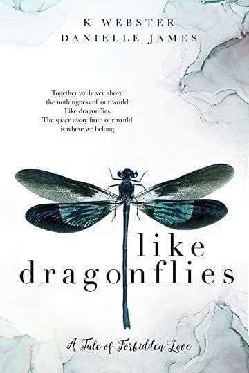 Like Dragonflies book cover
