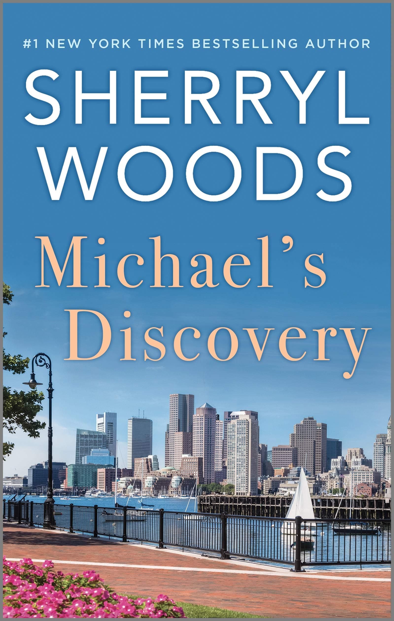 Michael's Discovery book cover
