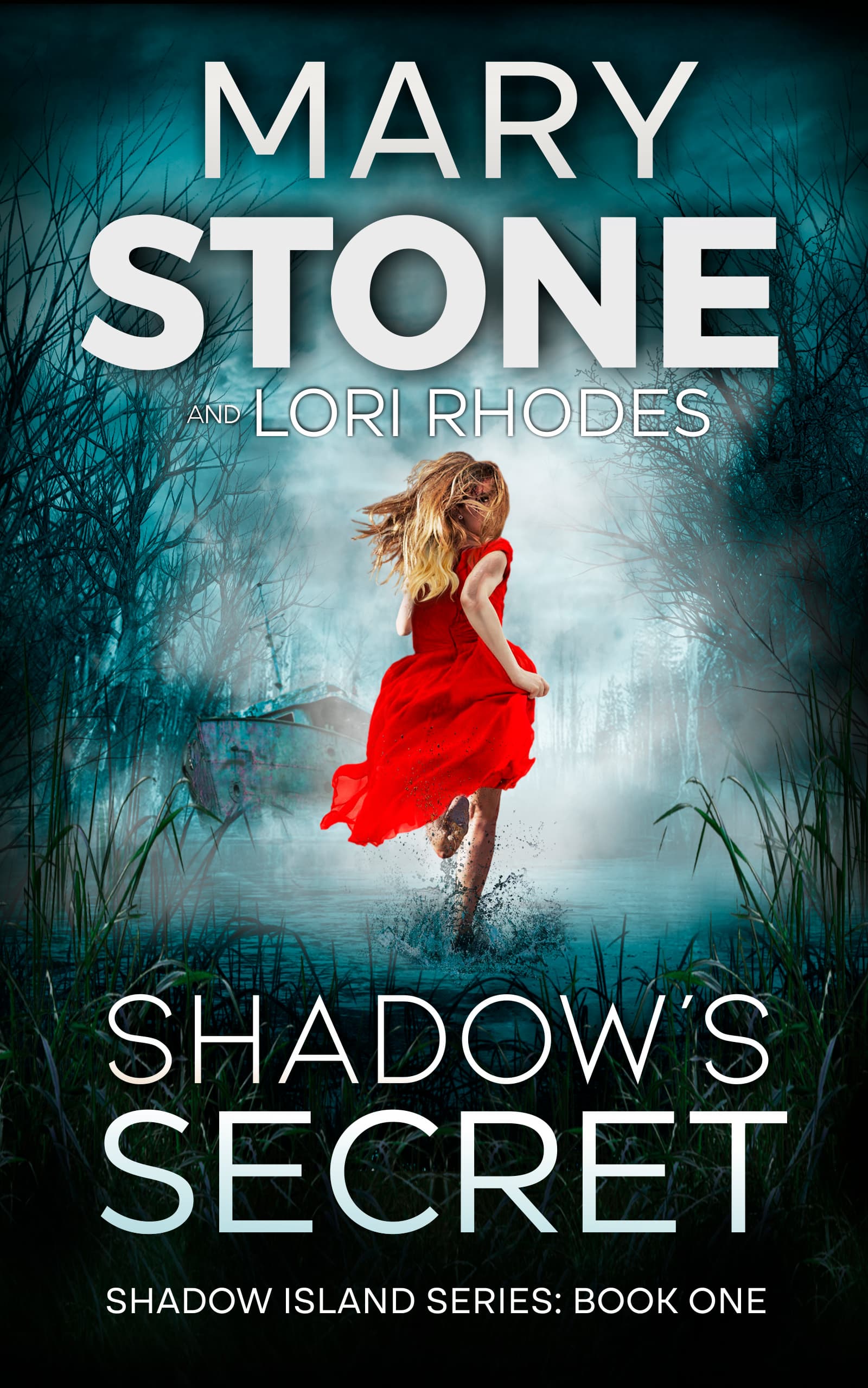 Shadow's Secret book cover
