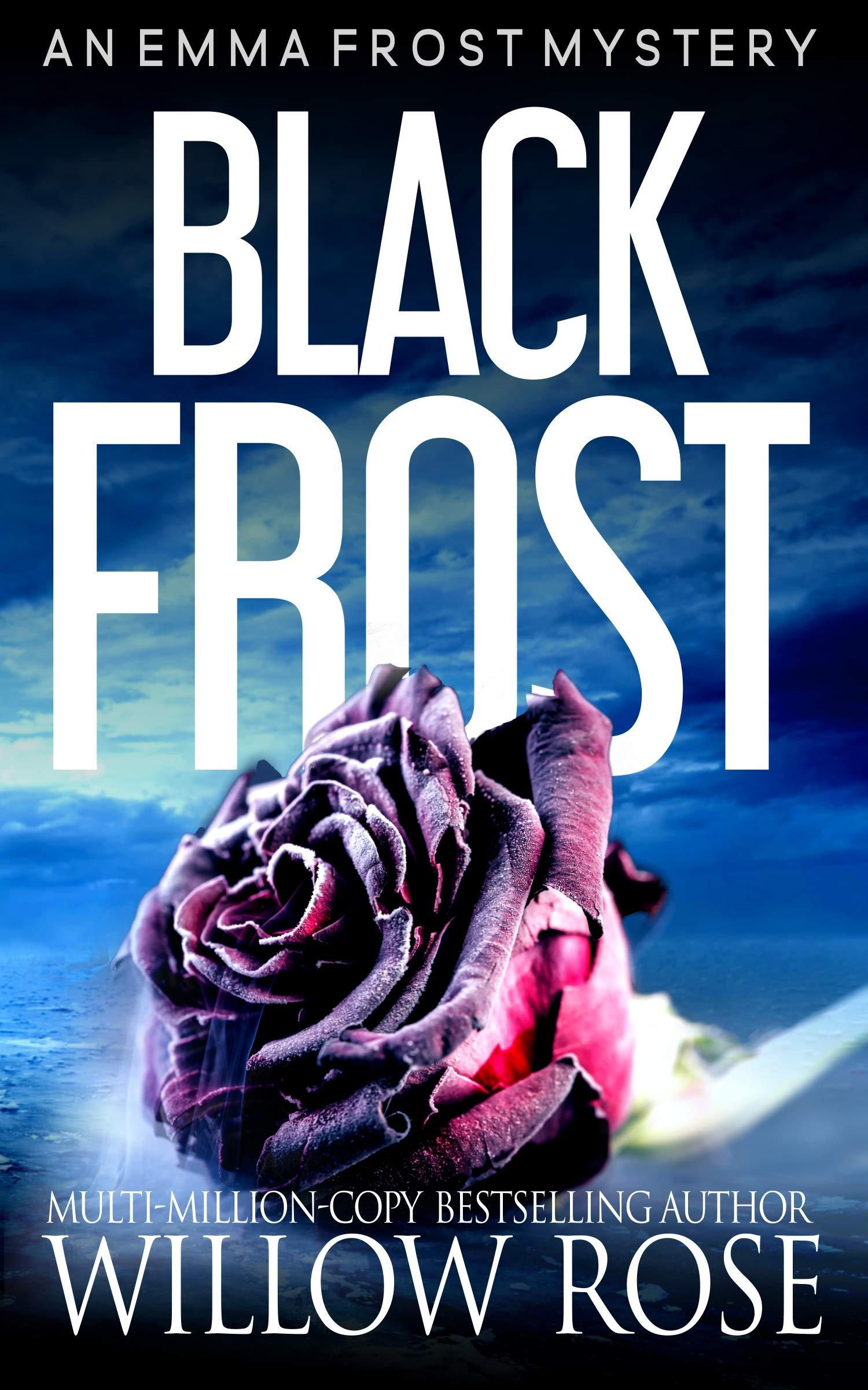 Black Frost book cover
