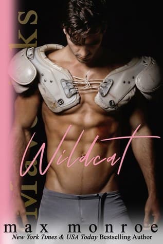 Wildcat book cover