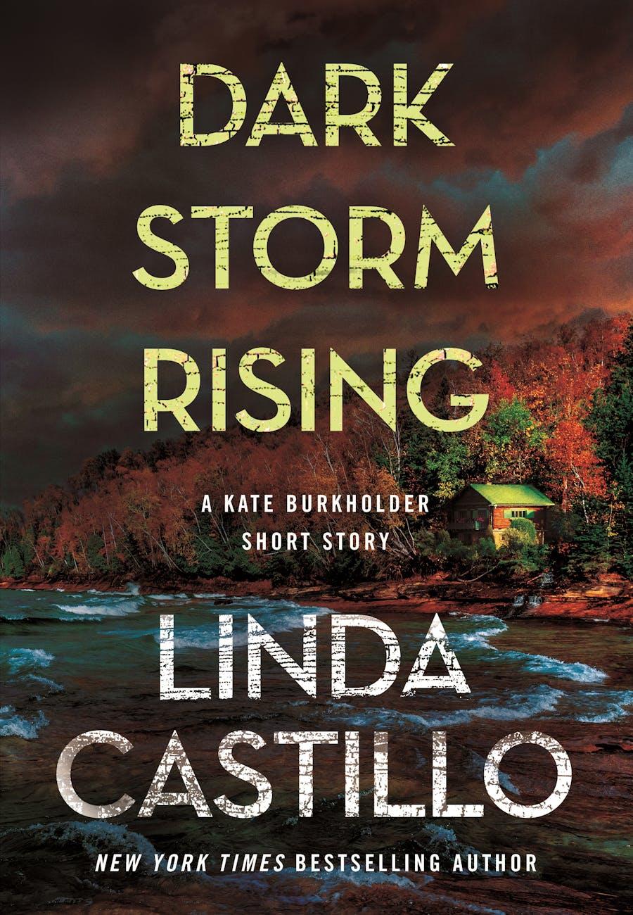 Dark Storm Rising book cover