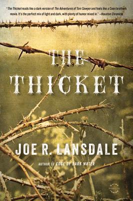 The Thicket book cover