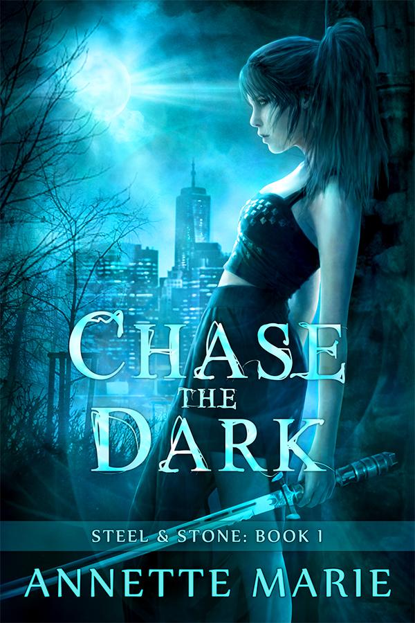 Chase the Dark book cover