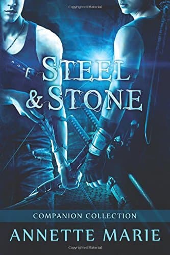 Steel & Stone Companion Collection book cover