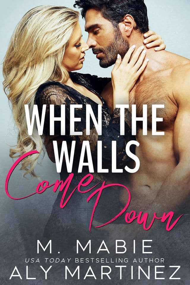 When the Walls Come Down book cover