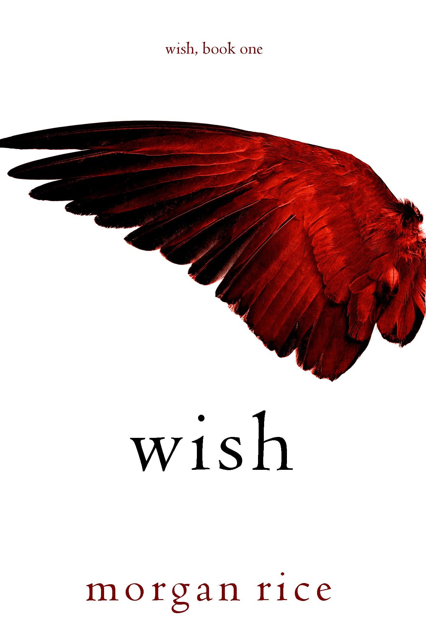 Wish book cover