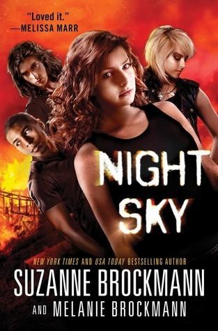 Night Sky book cover