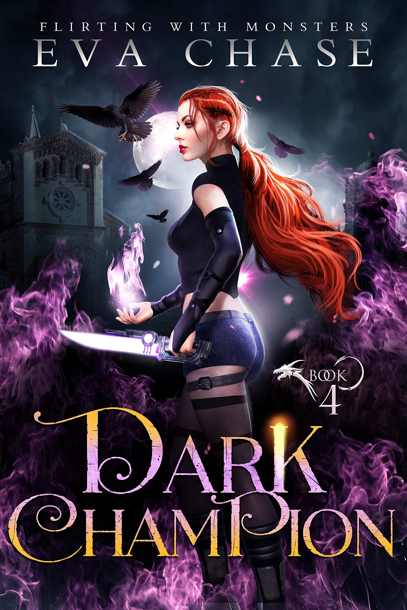 Dark Champion book cover