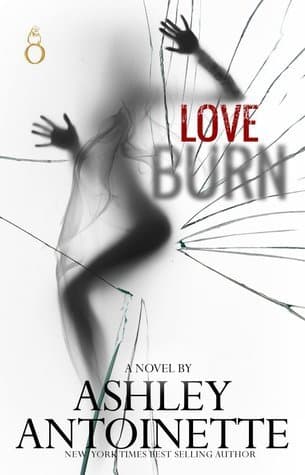 Love Burn book cover