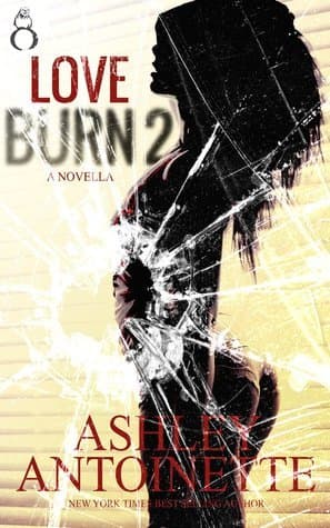 Love Burn 2 book cover