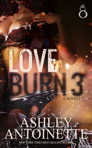 Love Burn 3 book cover