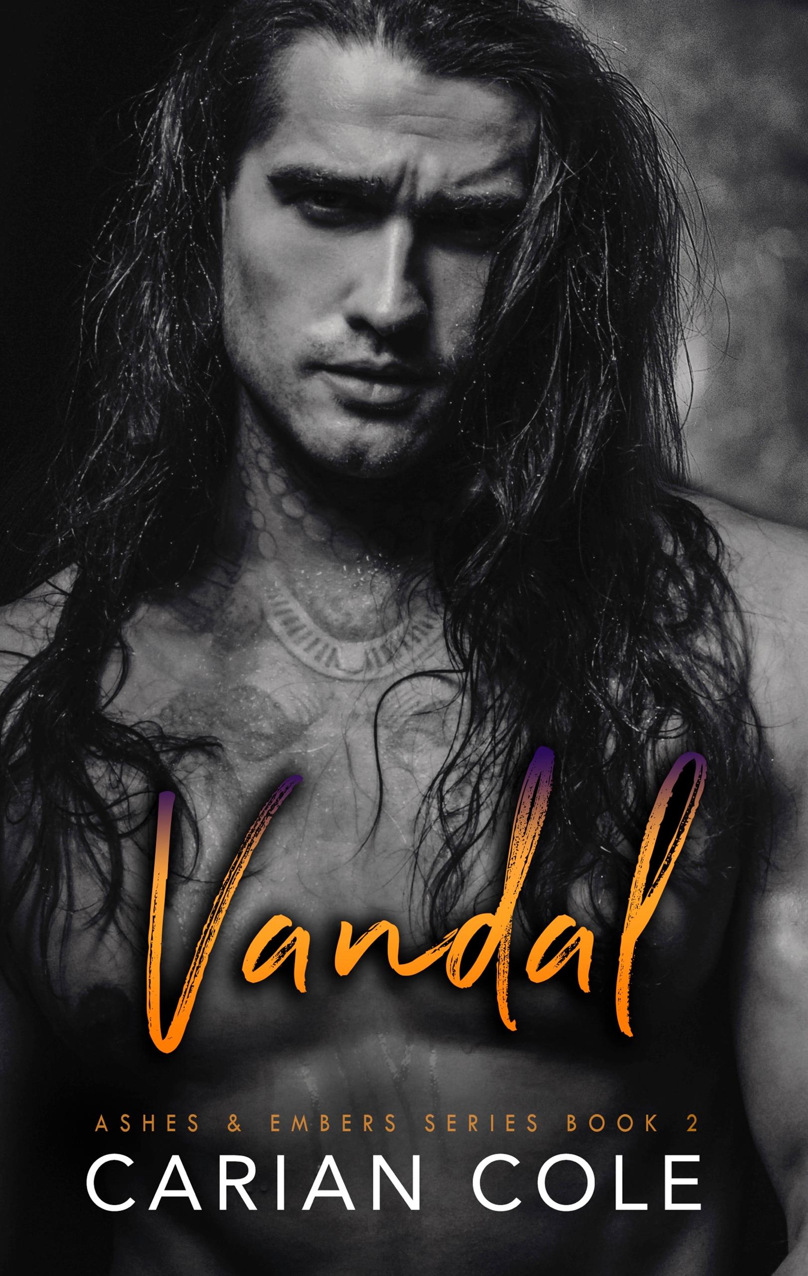 Vandal book cover
