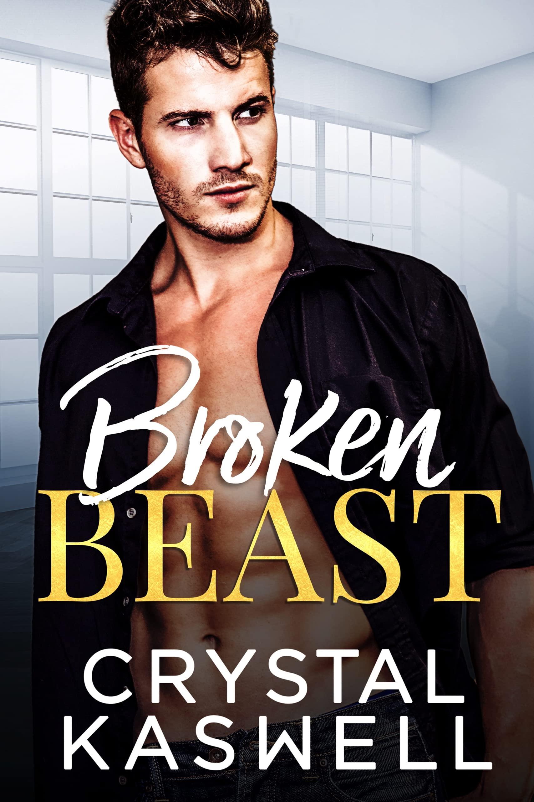 Broken Beast book cover