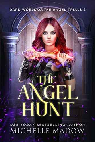 The Angel Hunt book cover