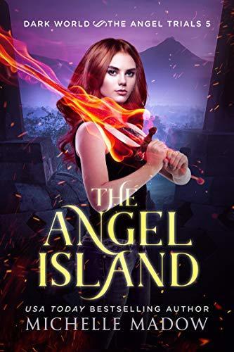 The Angel Island book cover