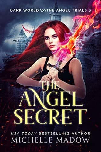 The Angel Secret book cover