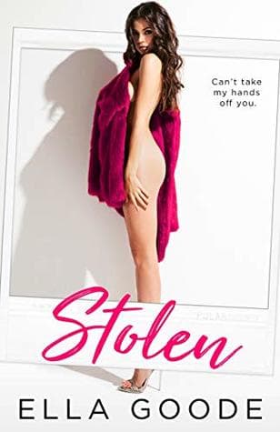 Stolen book cover