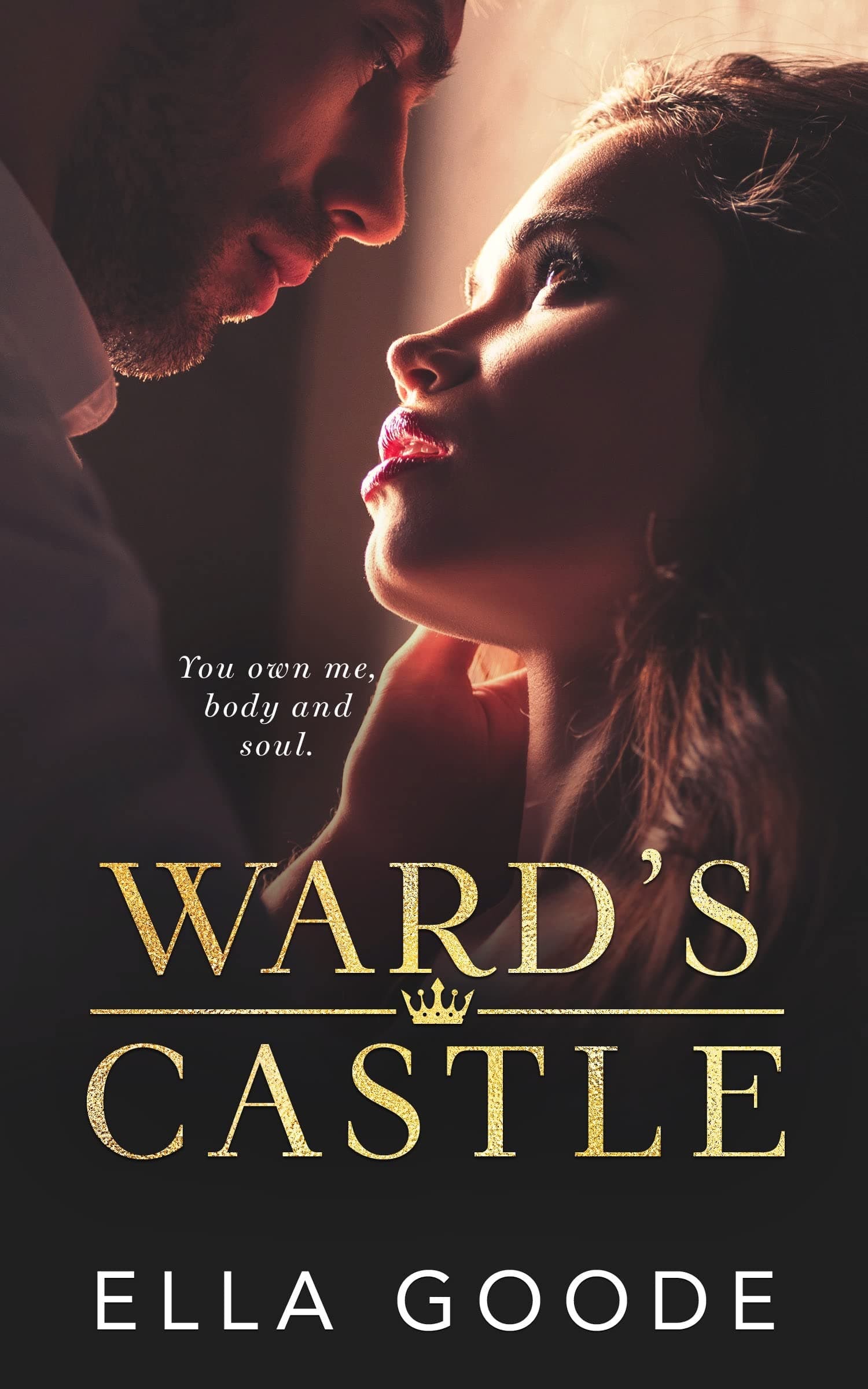 Ward's Castle book cover