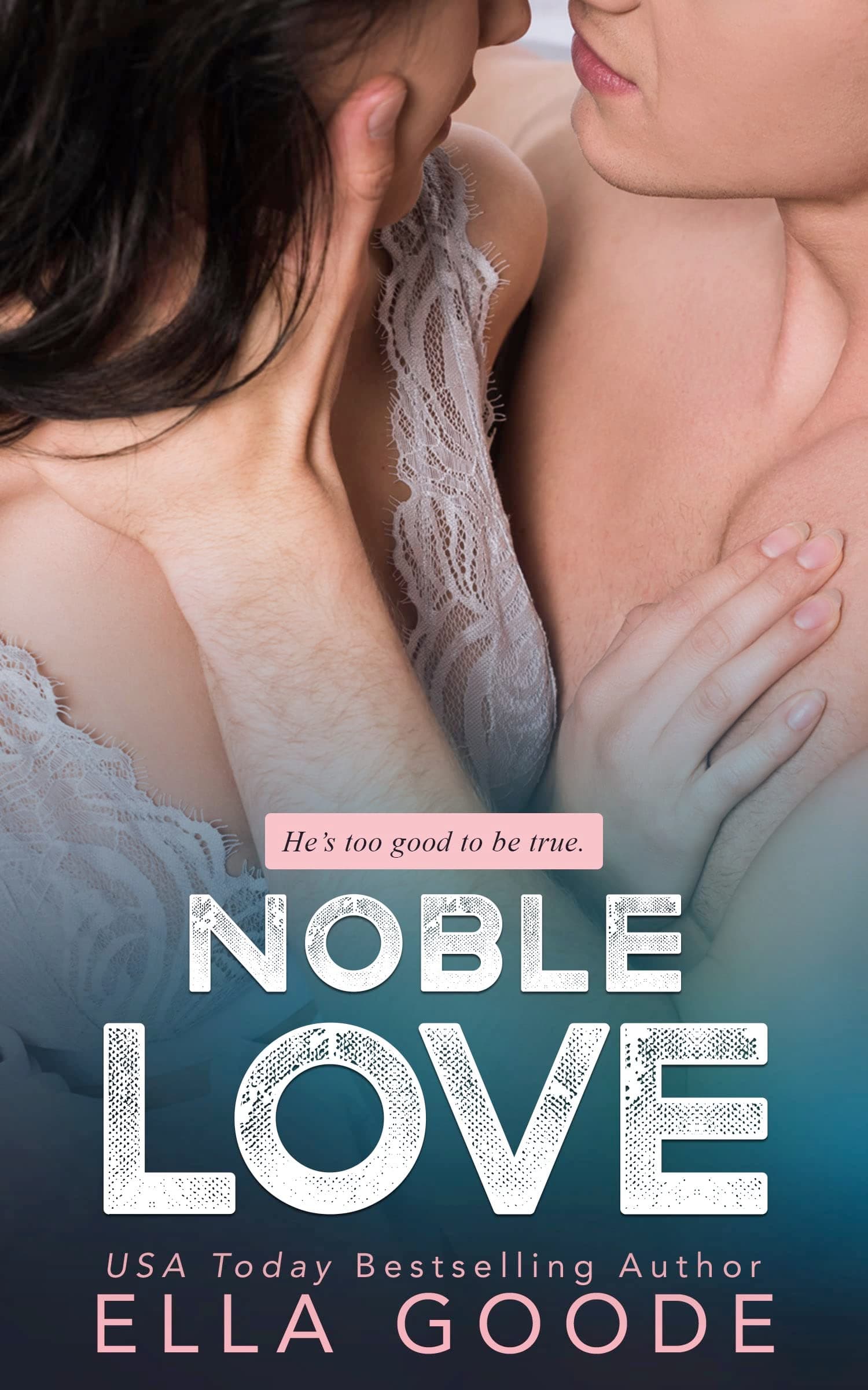 Noble Love book cover