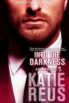 Into the Darkness book cover