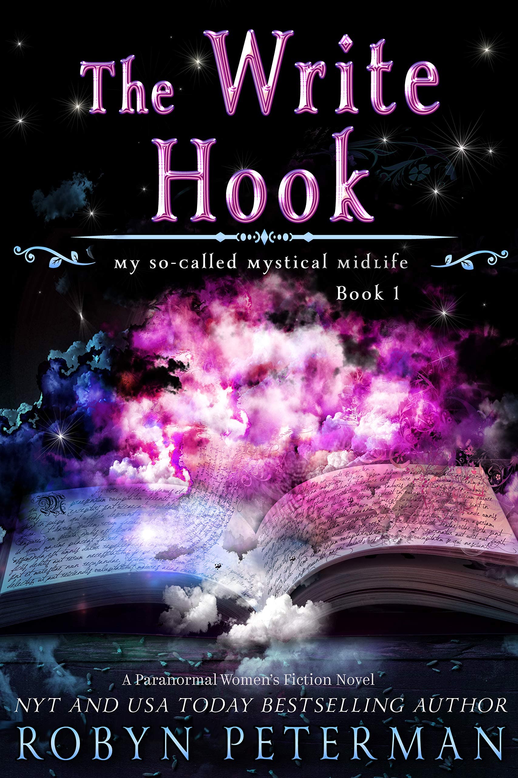 The Write Hook book cover