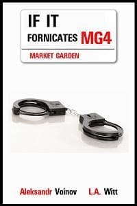 If It Fornicates book cover