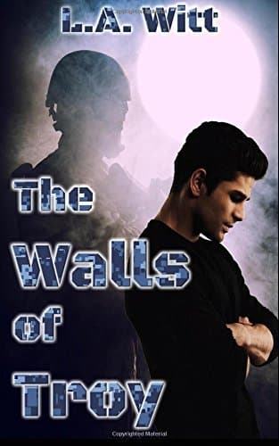 The Walls of Troy book cover