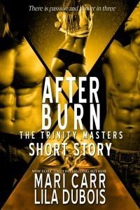 After Burn book cover