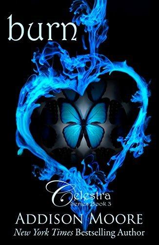 Burn book cover