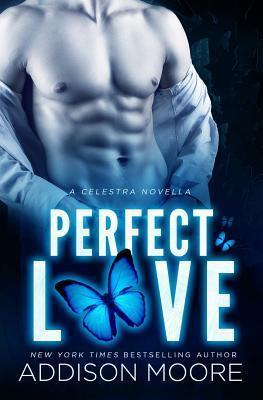 Perfect Love book cover