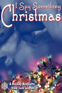 I Spy Something Christmas book cover