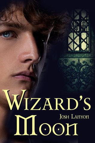 Wizard's Moon book cover