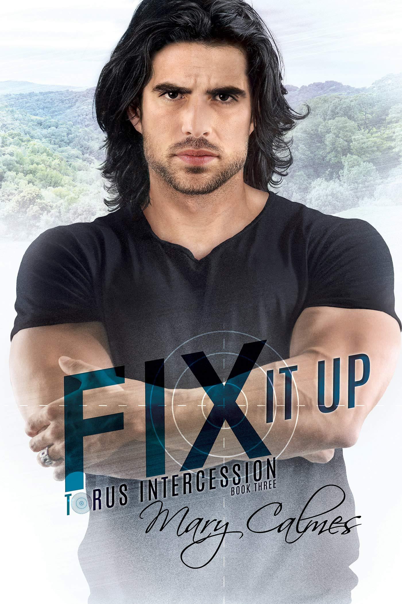Fix It Up book cover