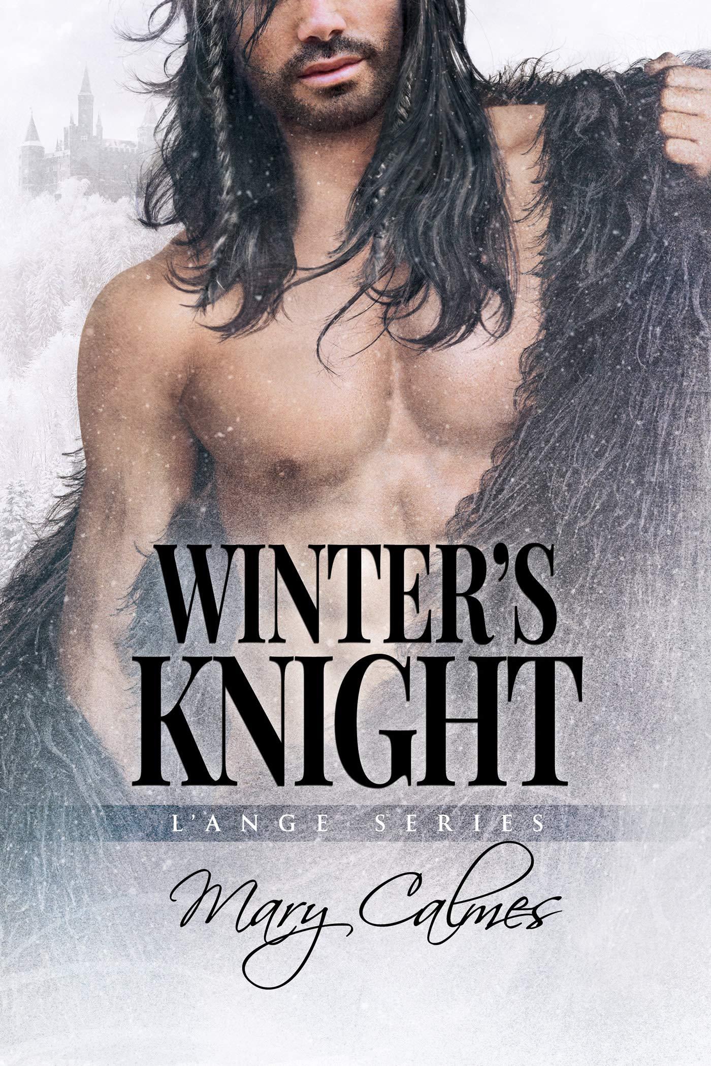 Winter's Knight book cover