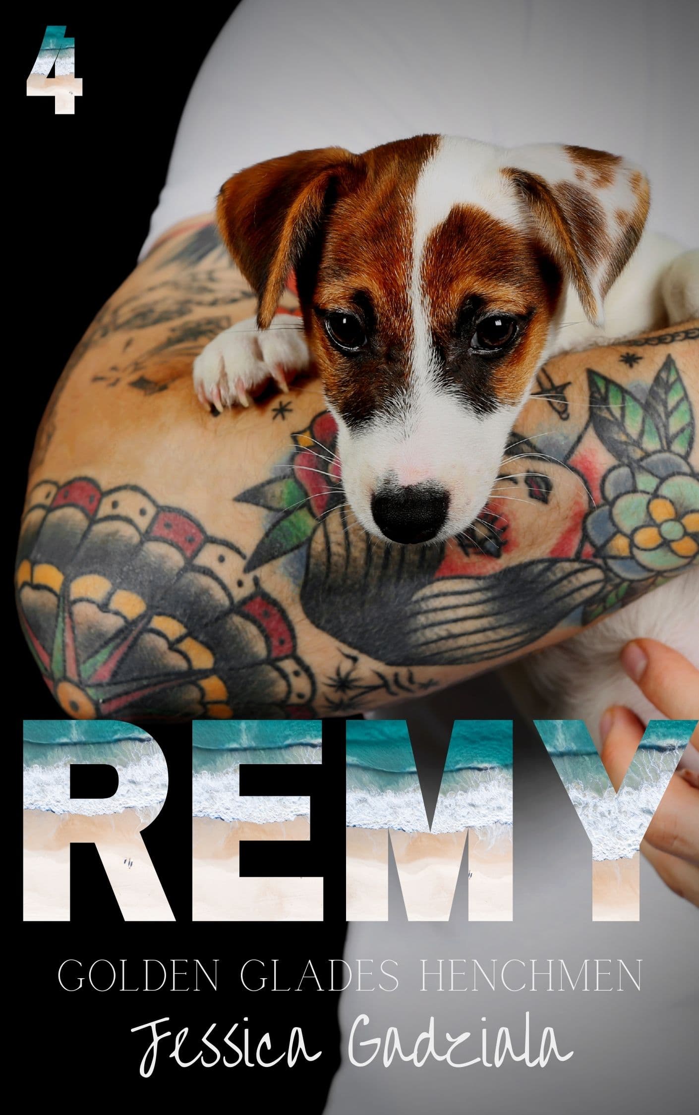 Remy book cover