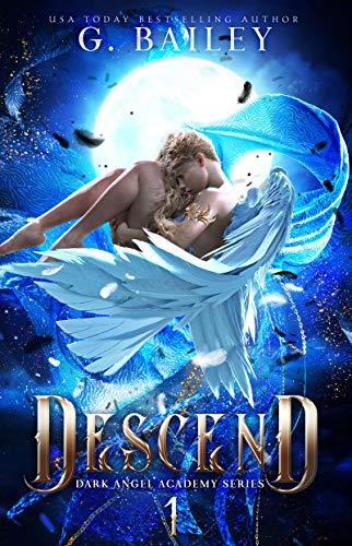 Descend book cover