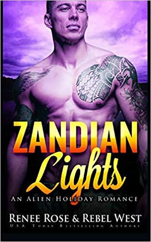 Zandian Lights book cover