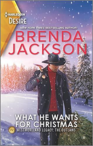 What He Wants for Christmas book cover
