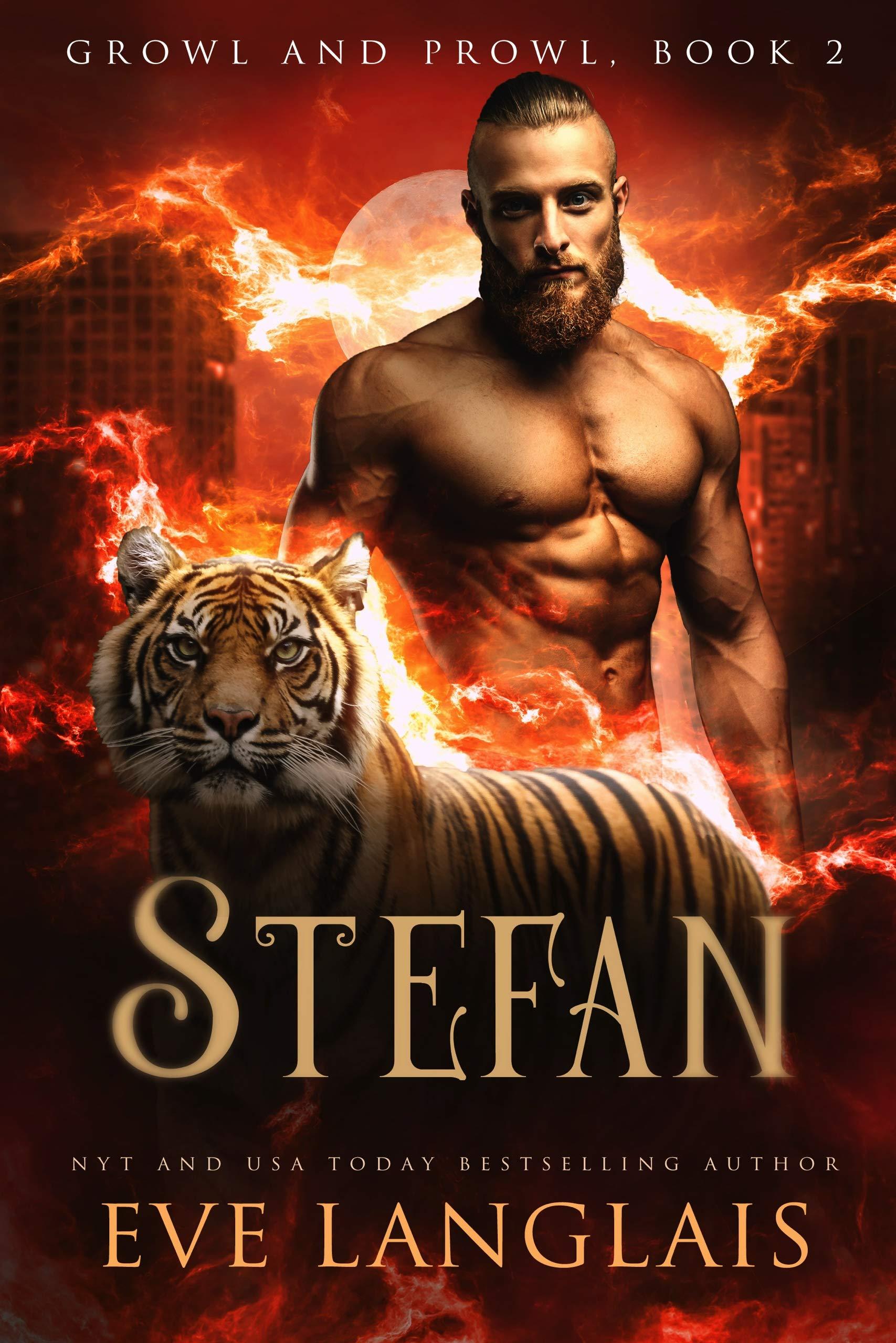 Stefan book cover