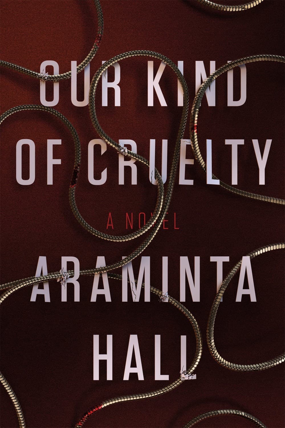 Our Kind of Cruelty book cover