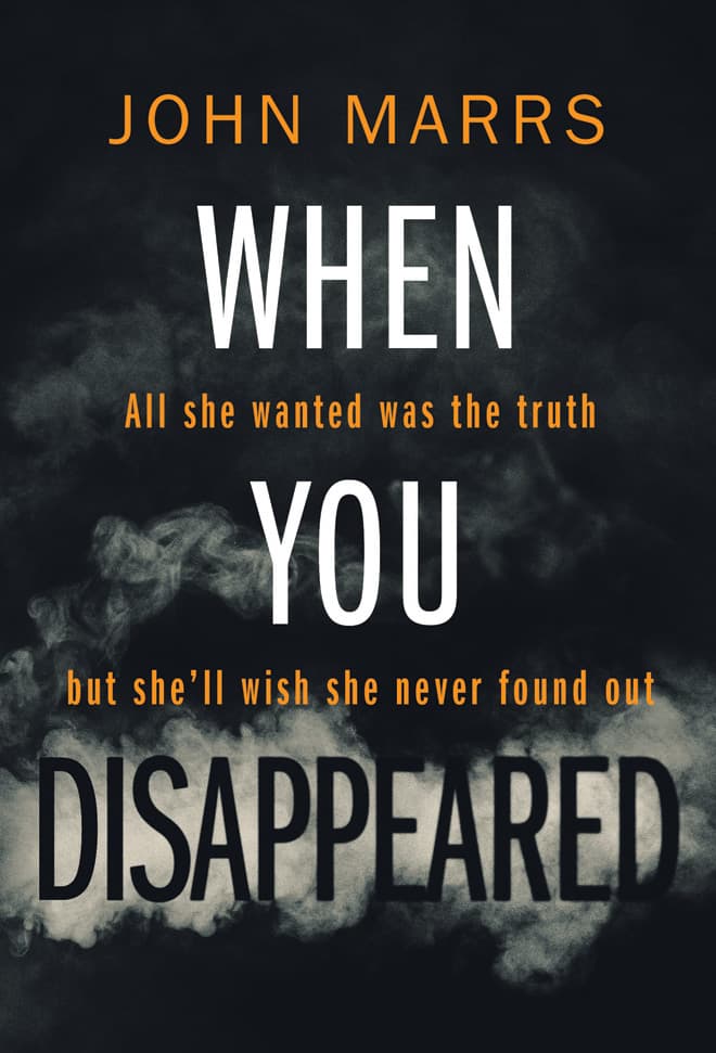 When You Disappeared book cover
