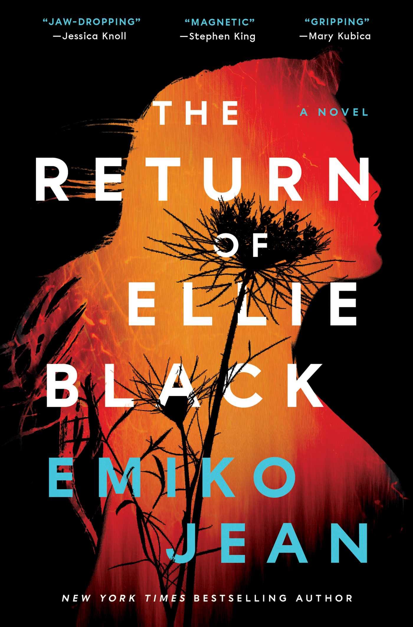 The Return of Ellie Black book cover