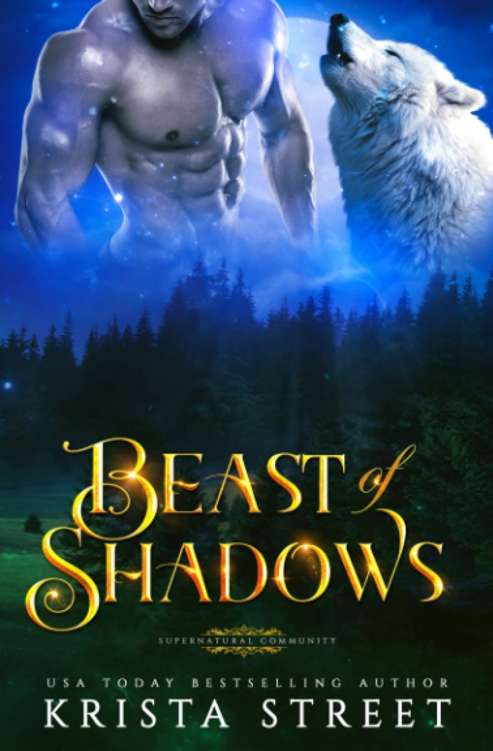 Beast of Shadows book cover