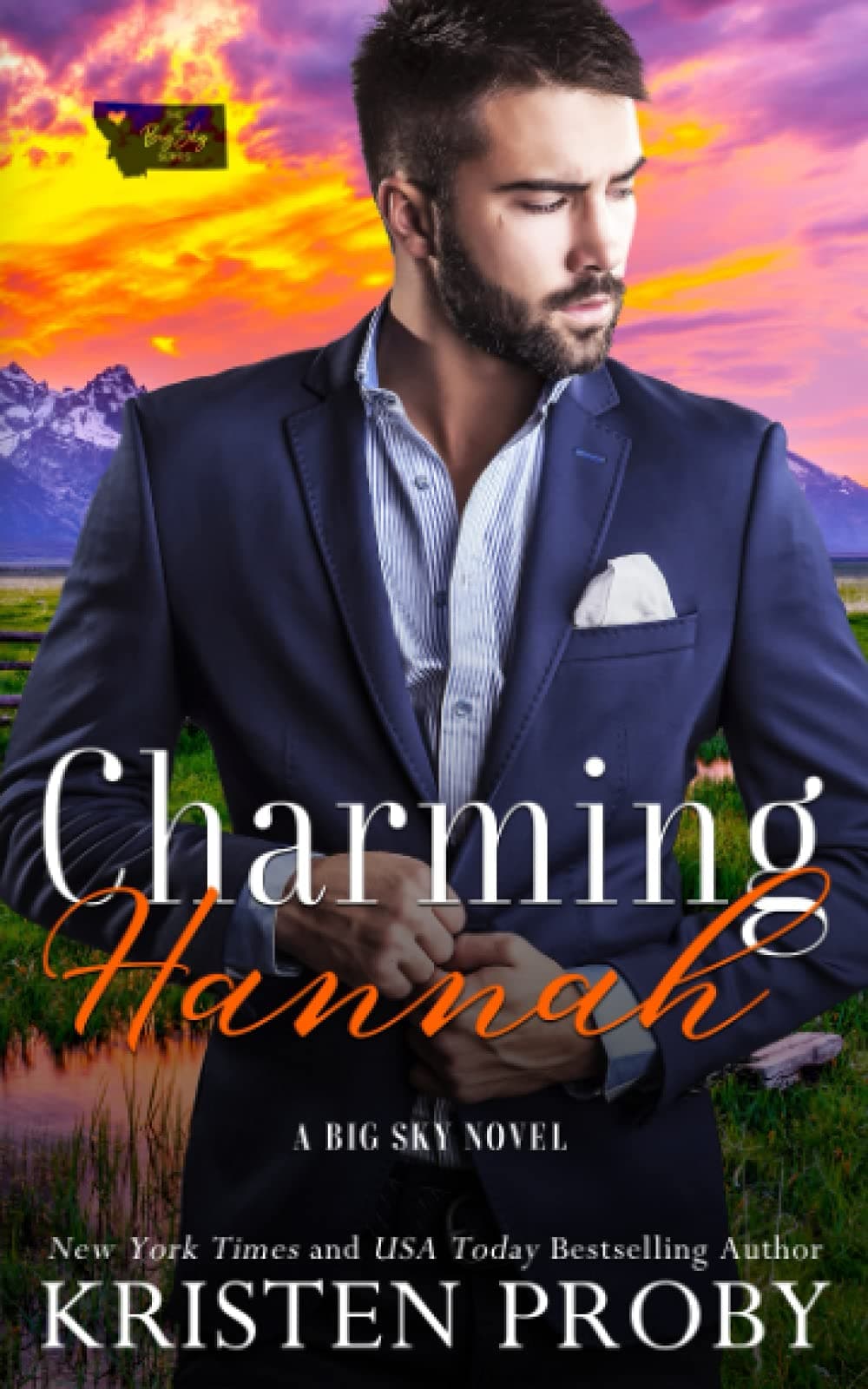 Charming Hannah: A Big Sky Novel book cover
