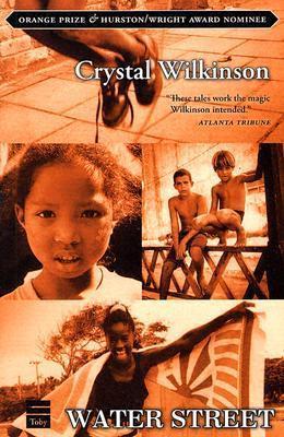 Water Street book cover