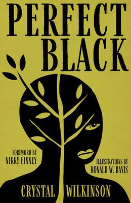 Perfect Black book cover