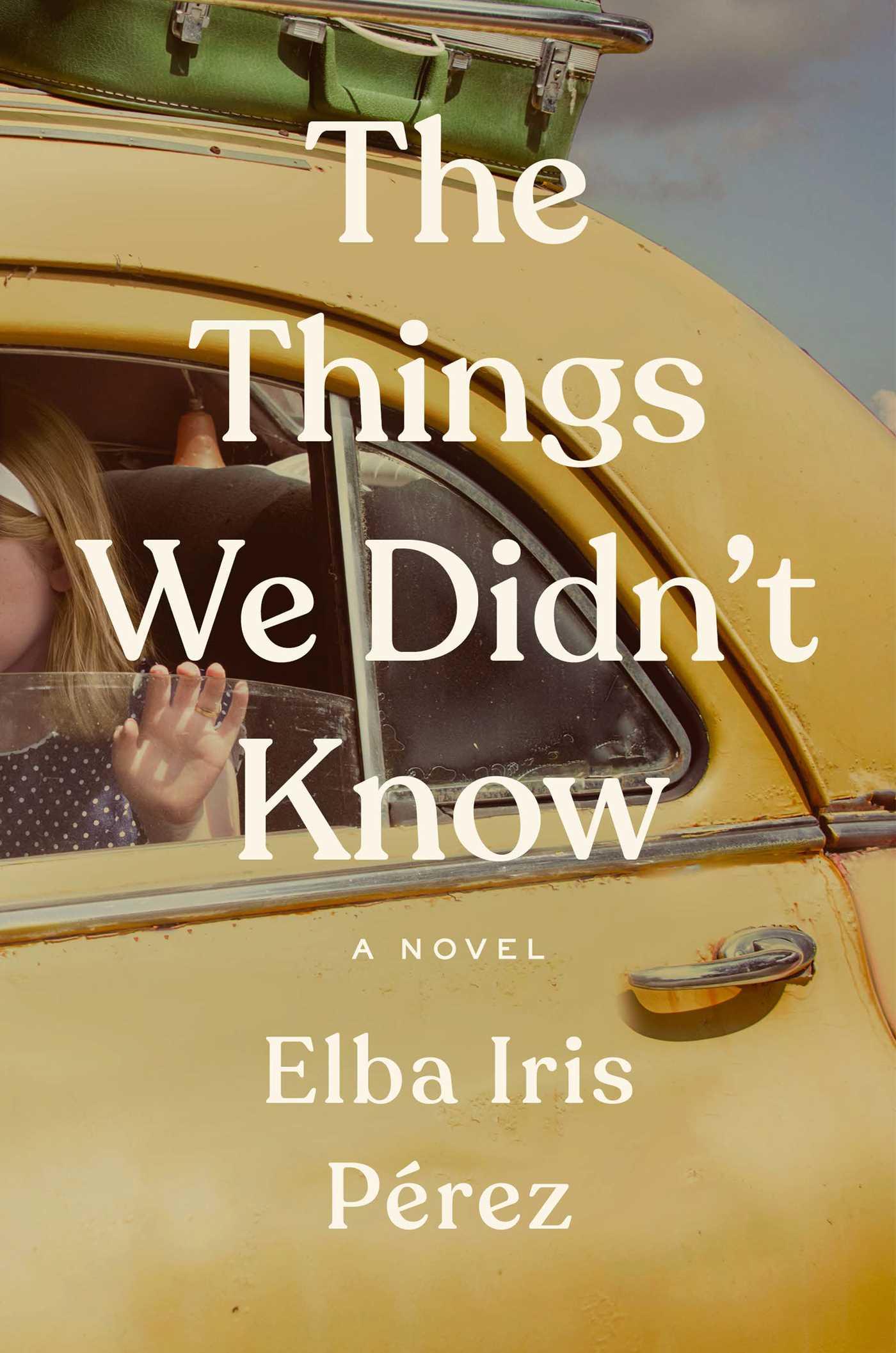 The Things We Didn’t Know book cover