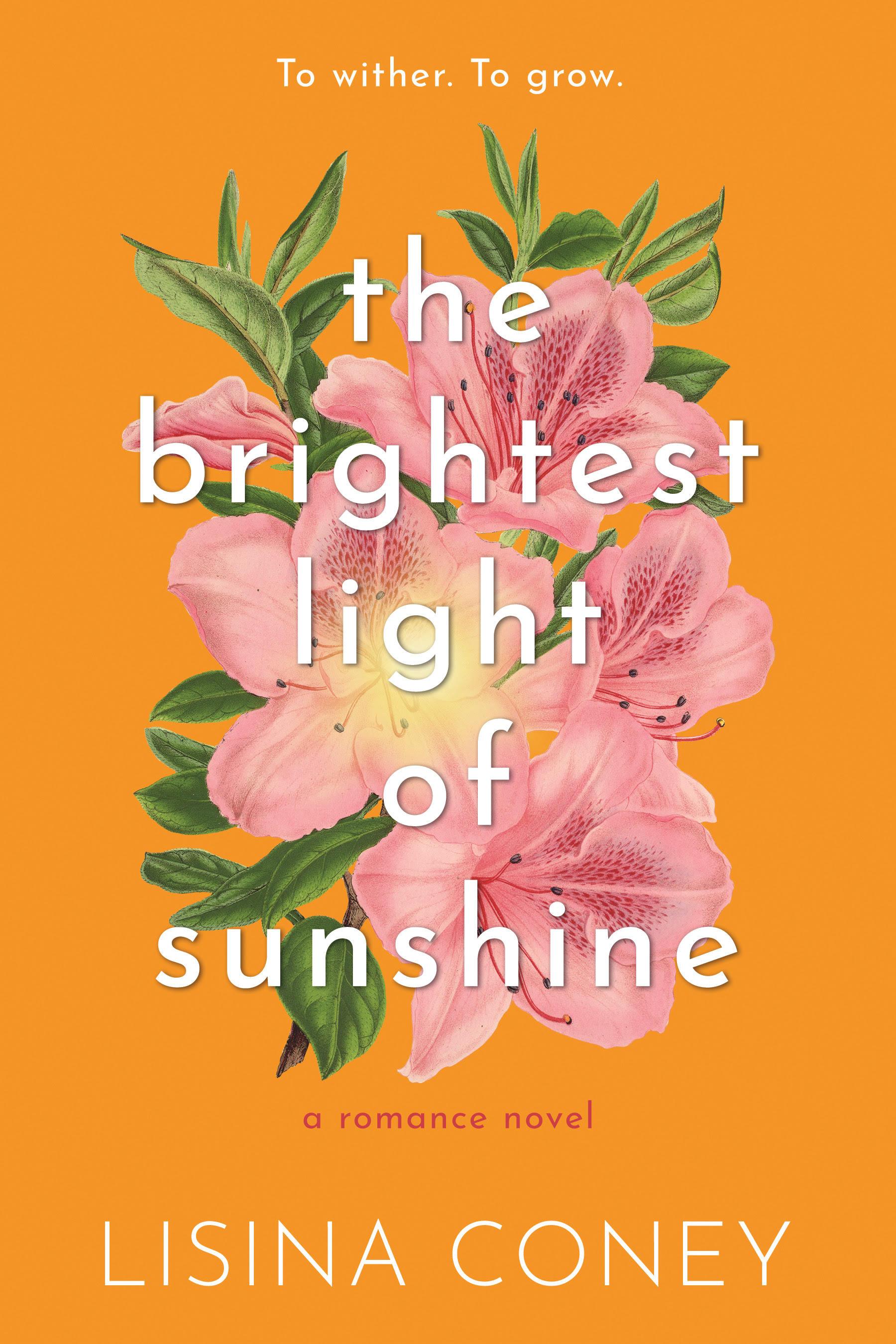 The Brightest Light of Sunshine book cover