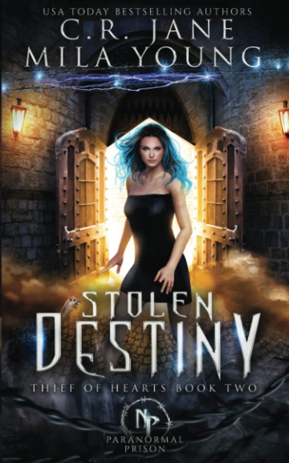 Stolen Destiny book cover